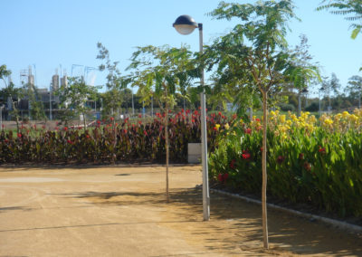 DSC00071