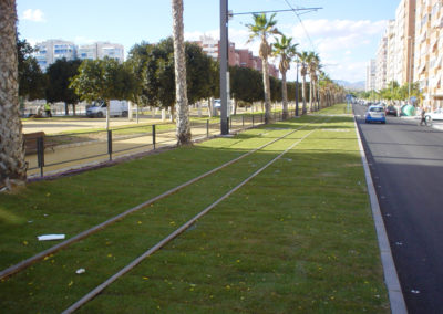 DSC00366 (11)