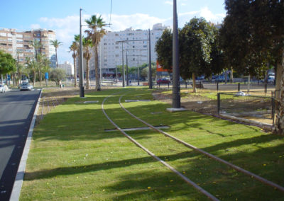 DSC00366 (8)